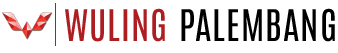 Wuling Palembang